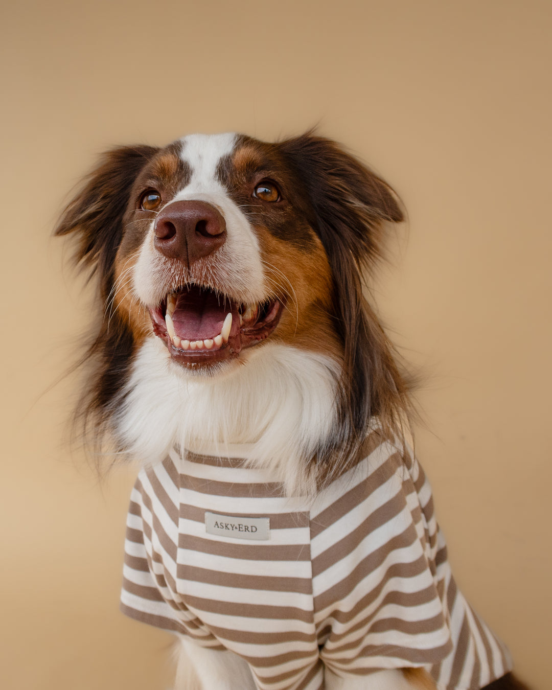 Heritage Stripe Tshirt | Oat Latte