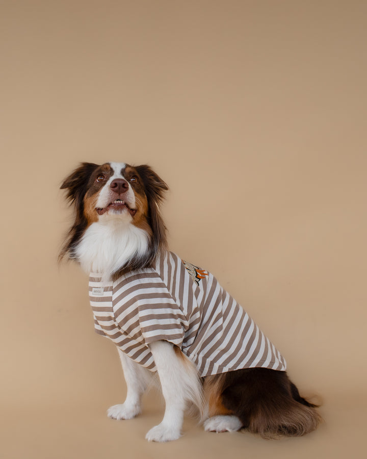 Heritage Stripe Tshirt | Oat Latte