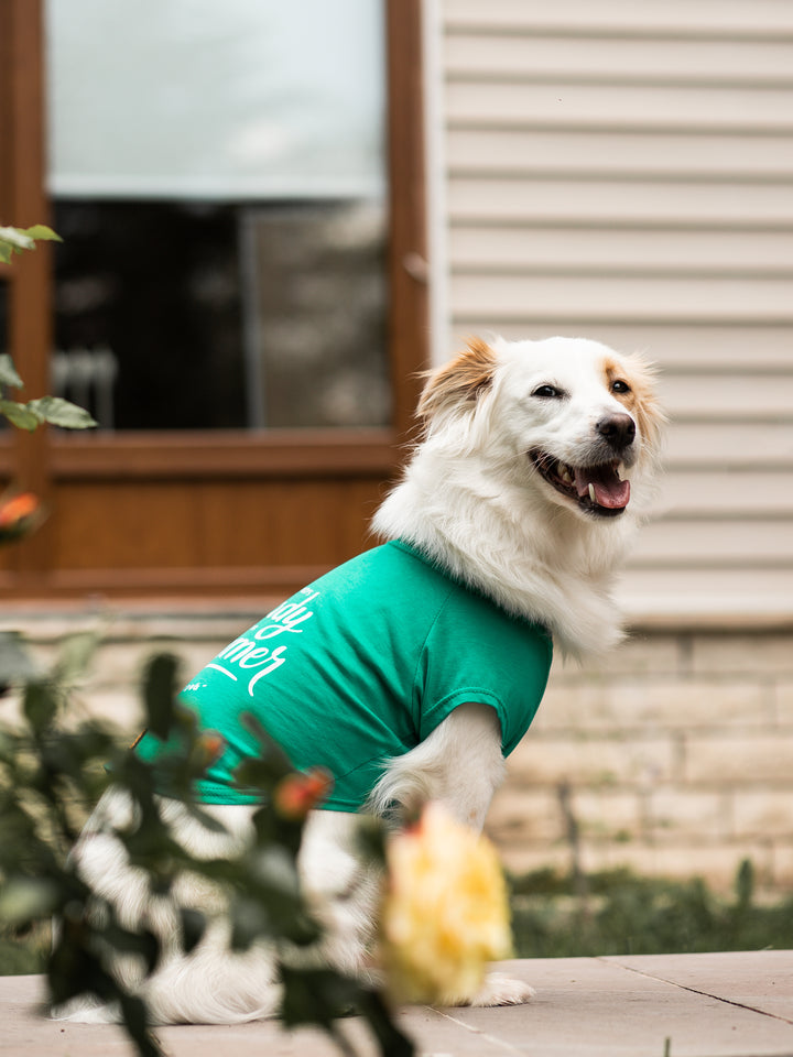 Tshirt | Surfer Dog