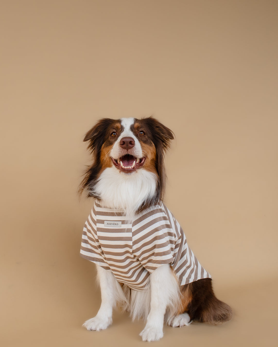 Heritage Stripe Tshirt | Oat Latte