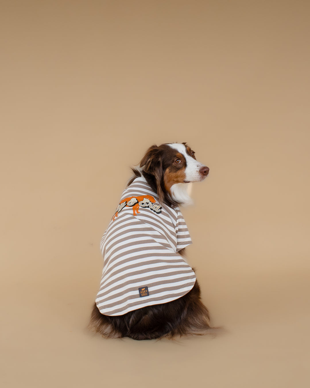 Heritage Stripe Tshirt | Oat Latte