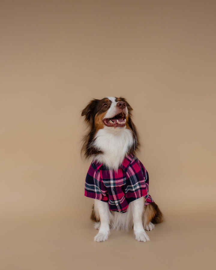 Plaid Shirt | Midnight Berry