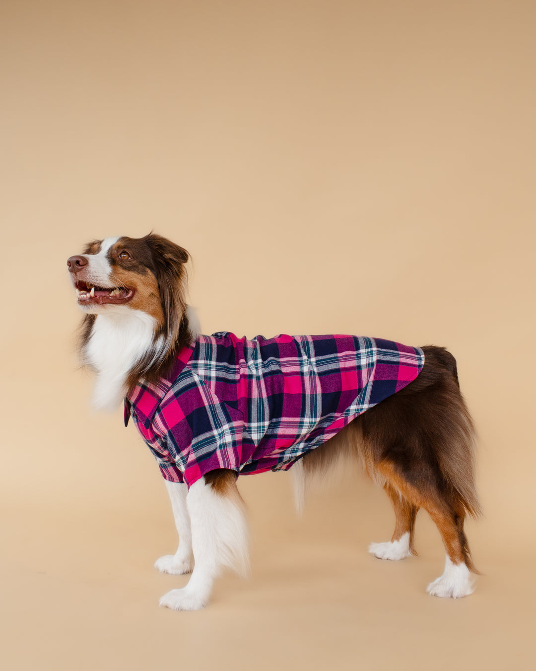 Plaid Shirt | Midnight Berry