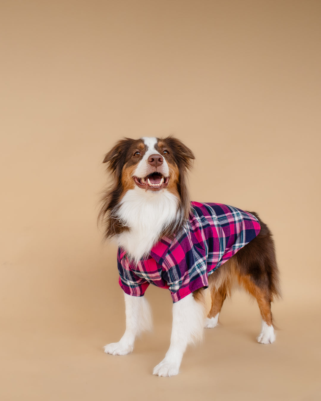 Plaid Shirt | Midnight Berry