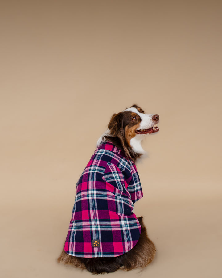 Plaid Shirt | Midnight Berry