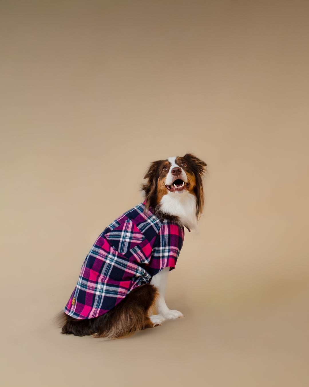 Plaid Shirt | Midnight Berry