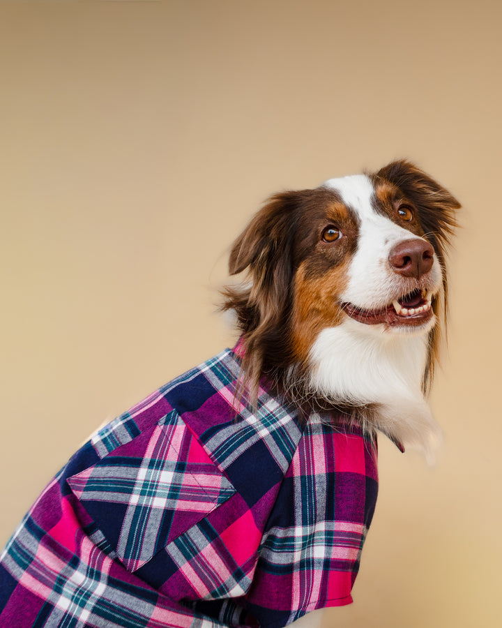 Plaid Shirt | Midnight Berry