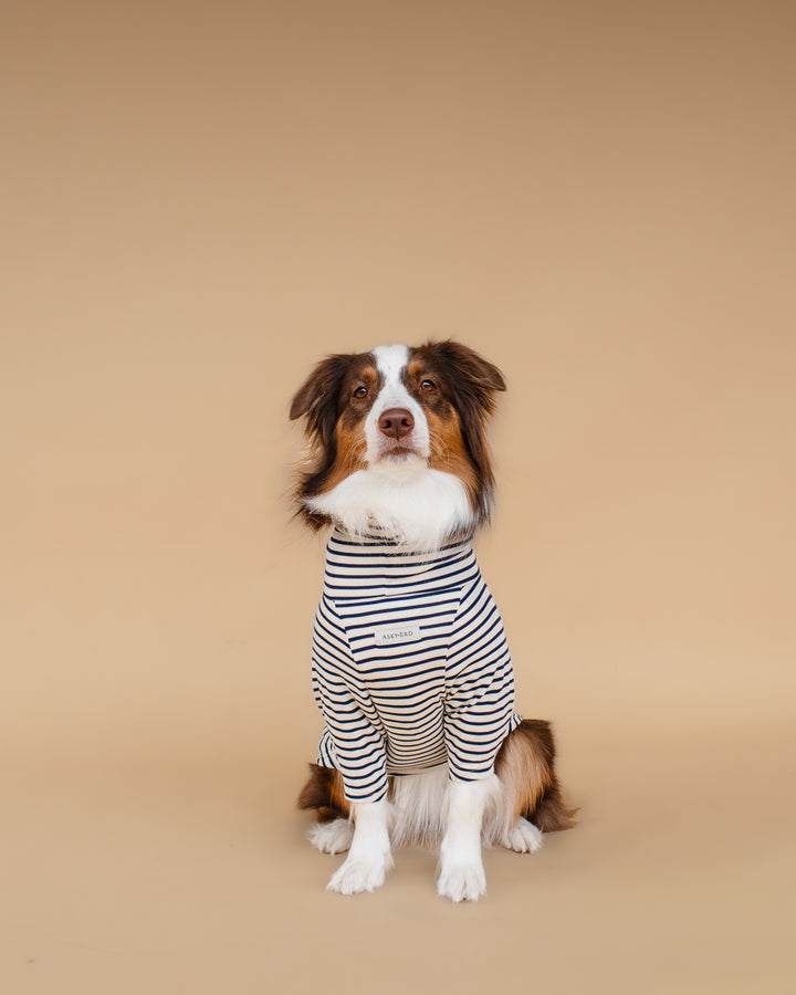 Turtleneck Tshirt | Coastal Navy