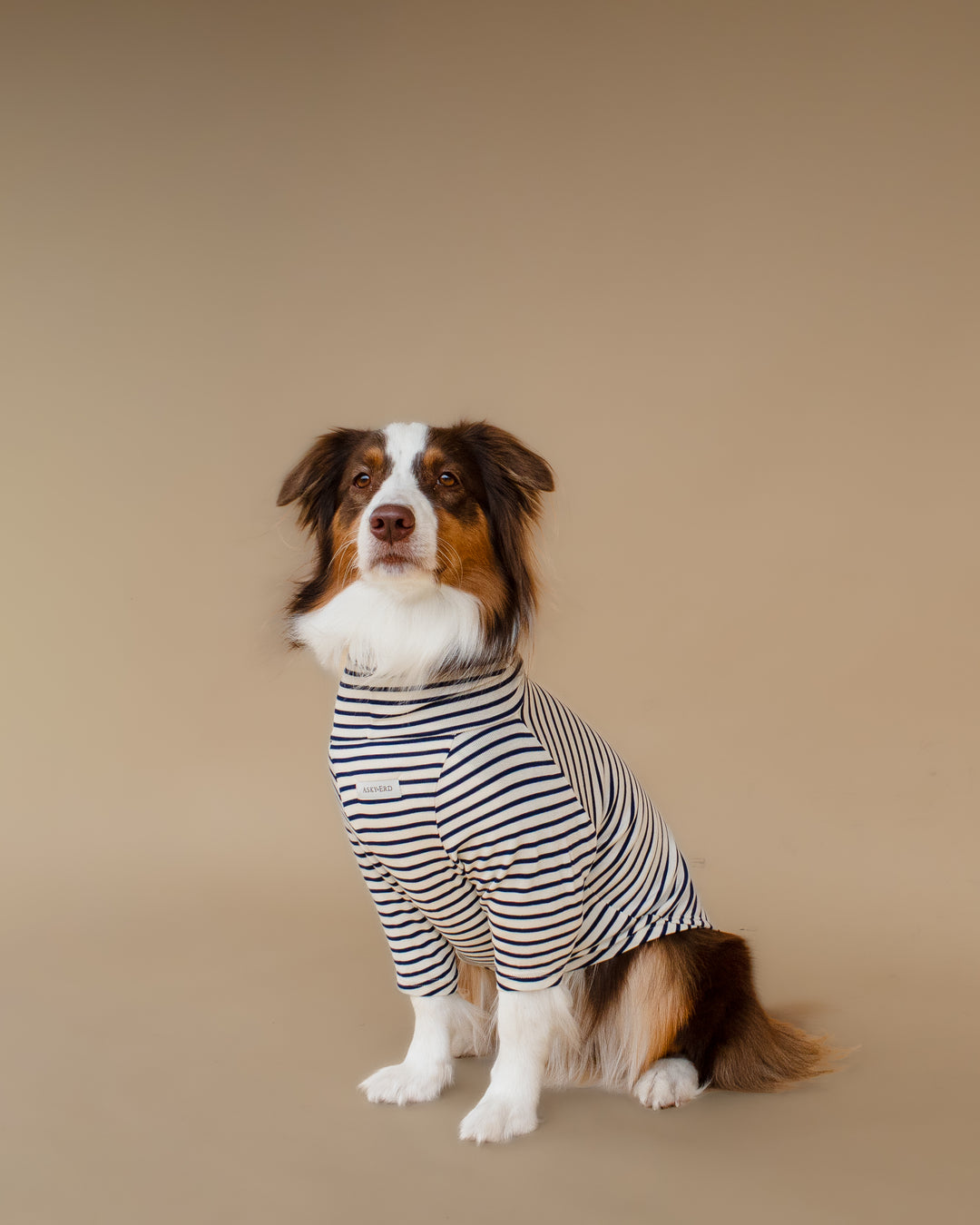 Turtleneck Tshirt | Coastal Navy