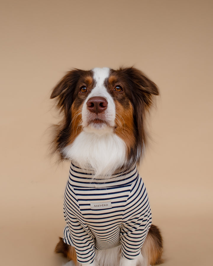 Turtleneck Tshirt | Coastal Navy