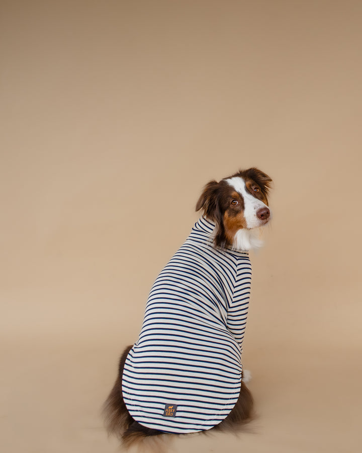 Turtleneck Tshirt | Coastal Navy