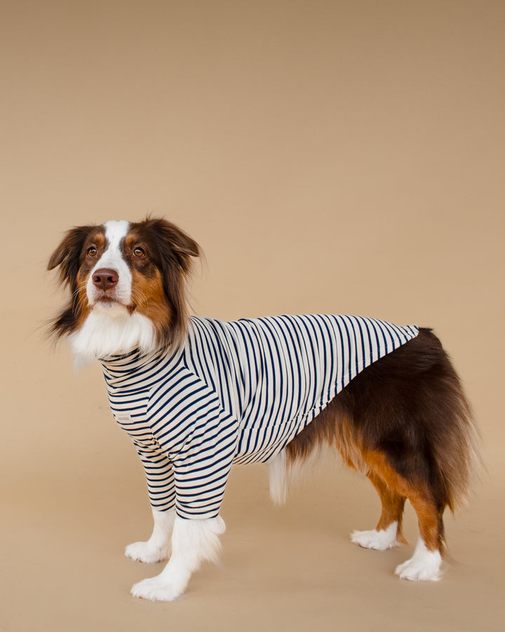 Turtleneck Tshirt | Coastal Navy