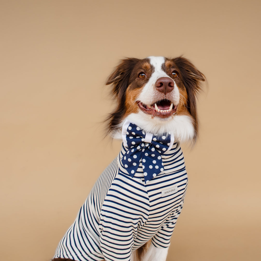 Turtleneck Tshirt | Coastal Navy