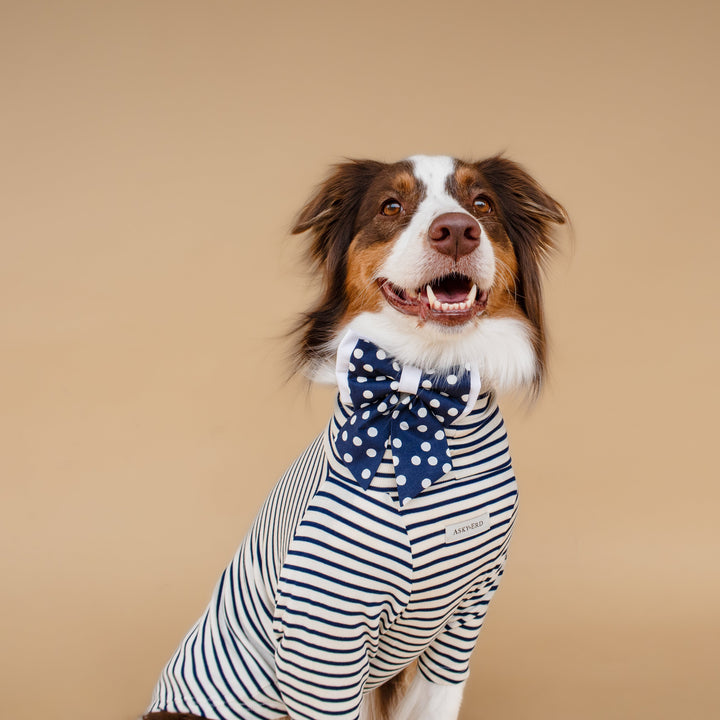 Turtleneck Tshirt | Coastal Navy