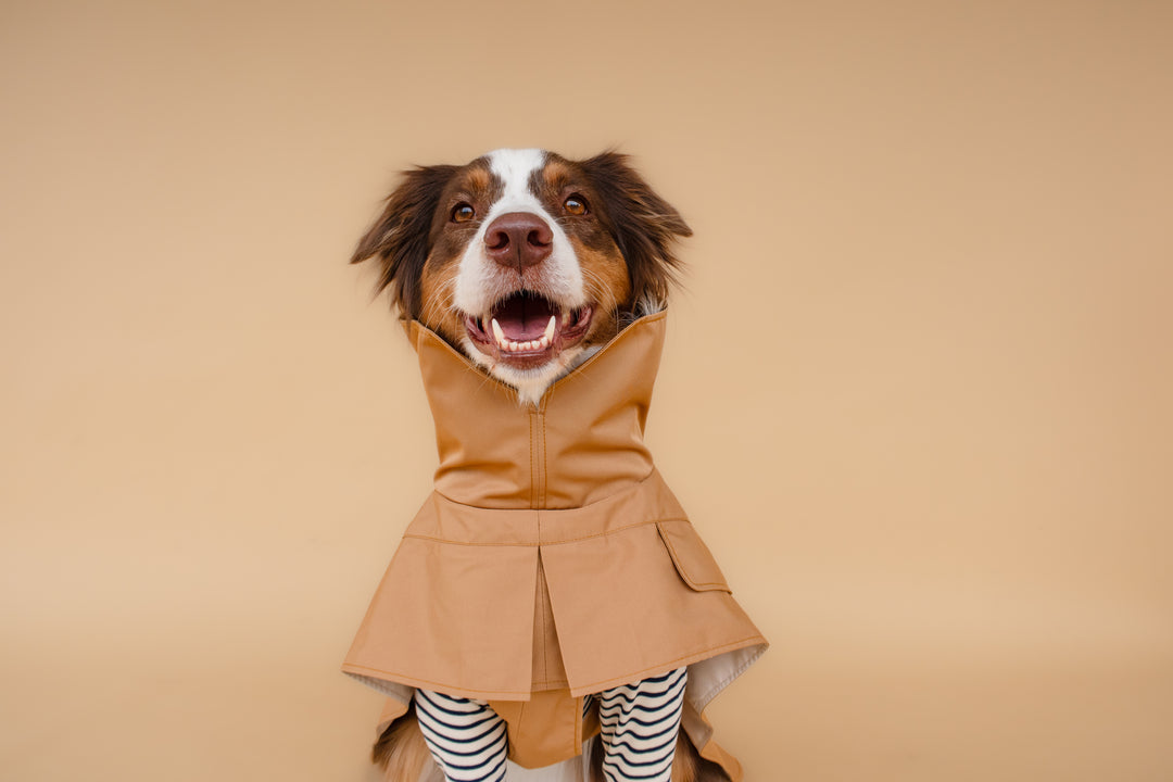 Trenchcoat | Signature Beige