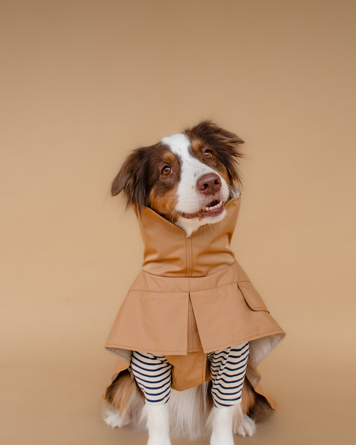 Trenchcoat | Signature Beige