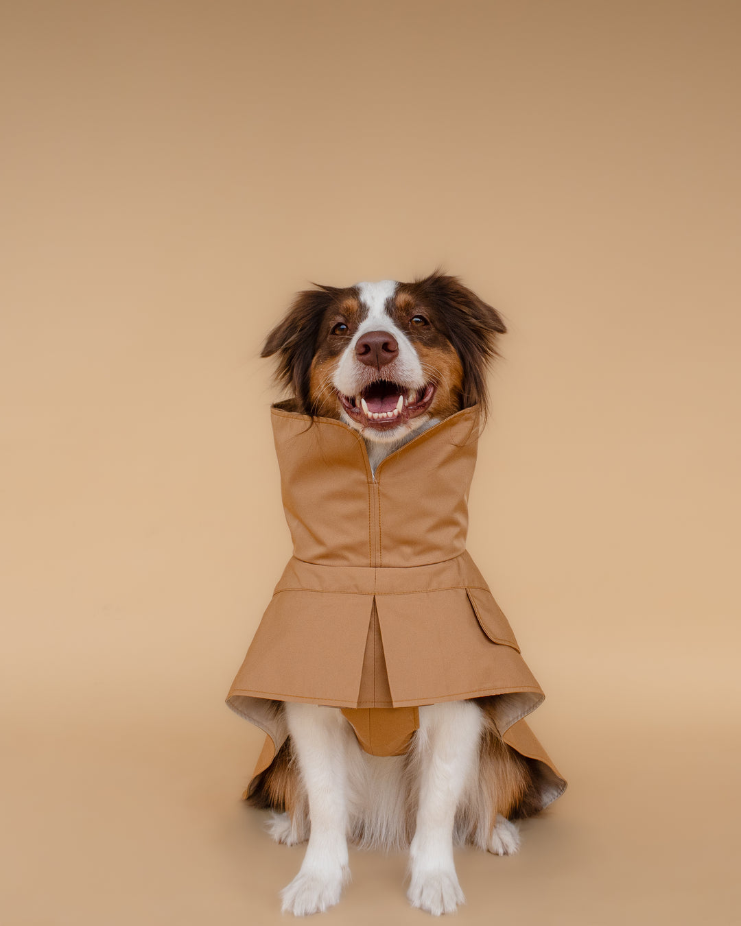 Trenchcoat | Signature Beige