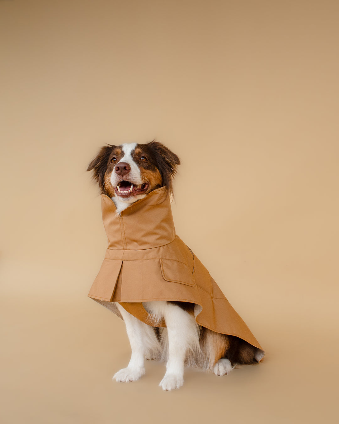 Trenchcoat | Signature Beige