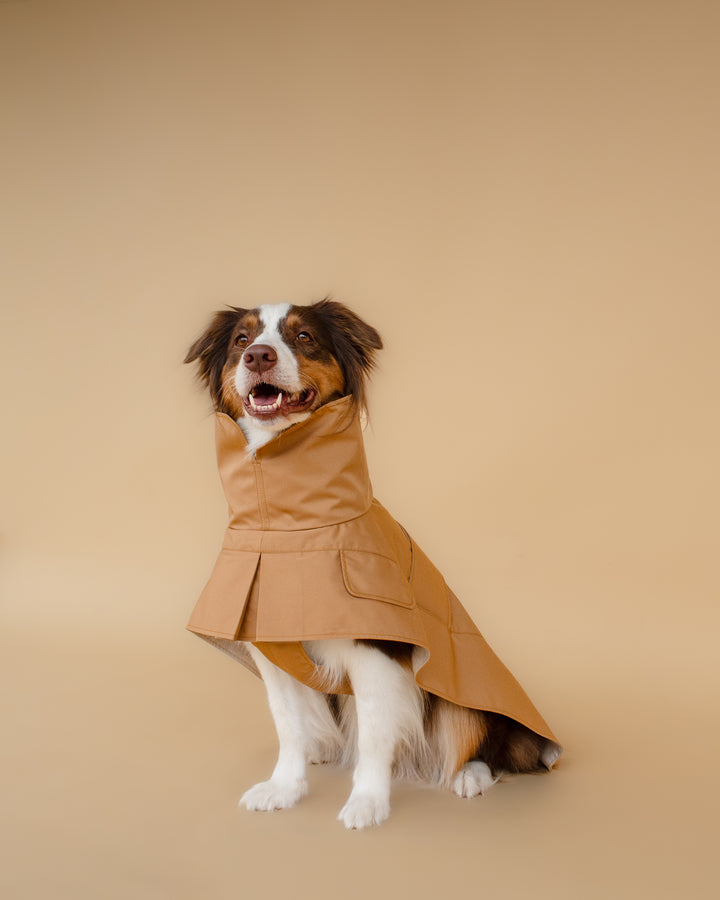 Trenchcoat | Signature Beige