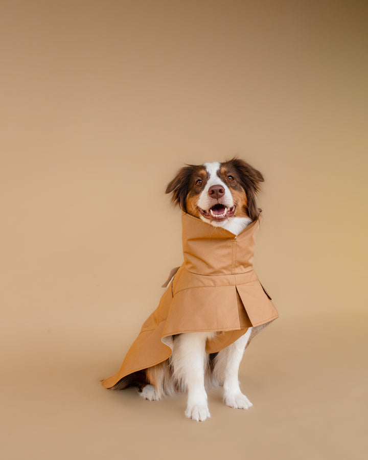 Trenchcoat | Signature Beige