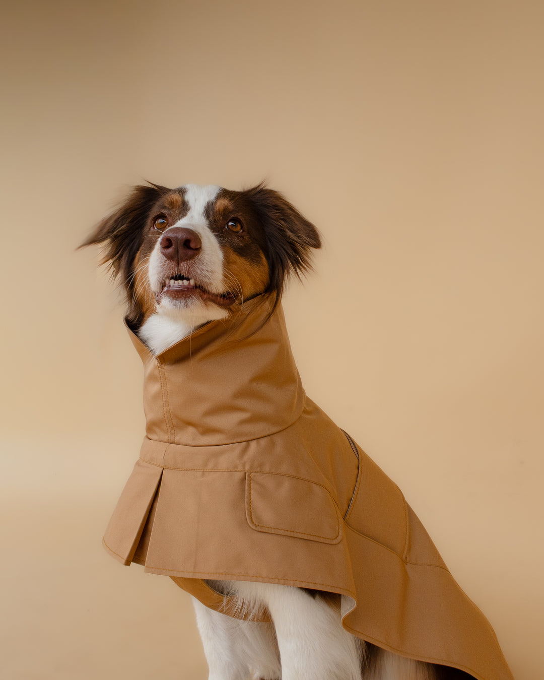 Trenchcoat | Signature Beige