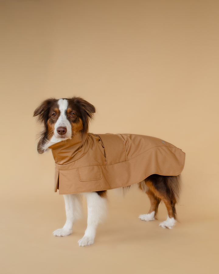 Trenchcoat | Signature Beige