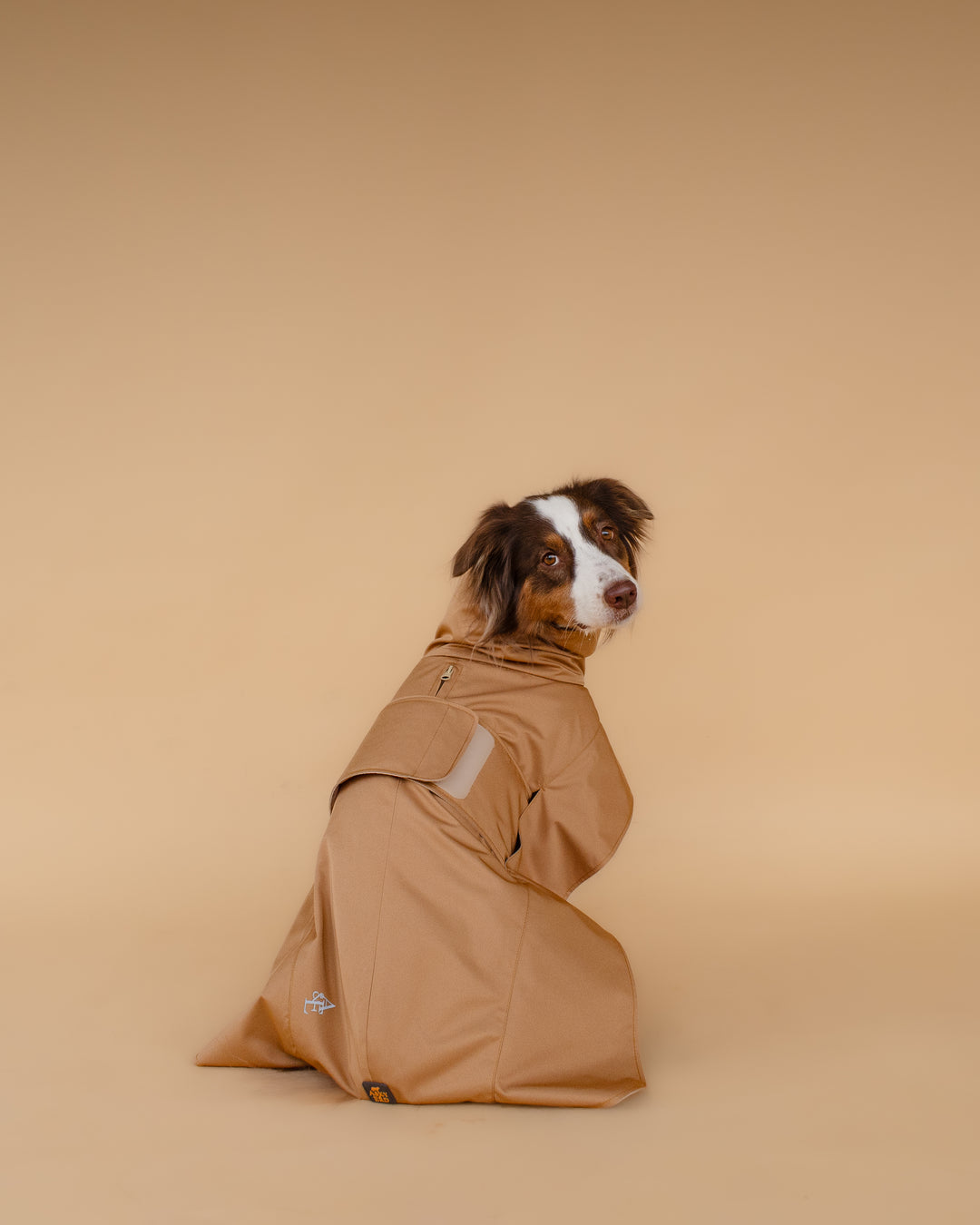 Trenchcoat | Signature Beige
