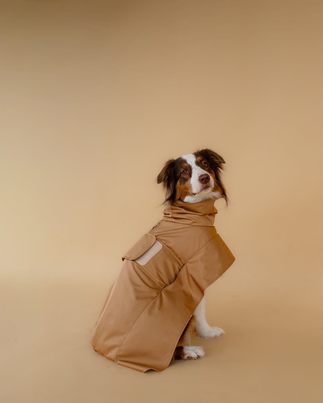 Trenchcoat | Signature Beige