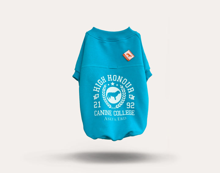 Canine College High Honour Sweatshirt | Turquoise Sprint