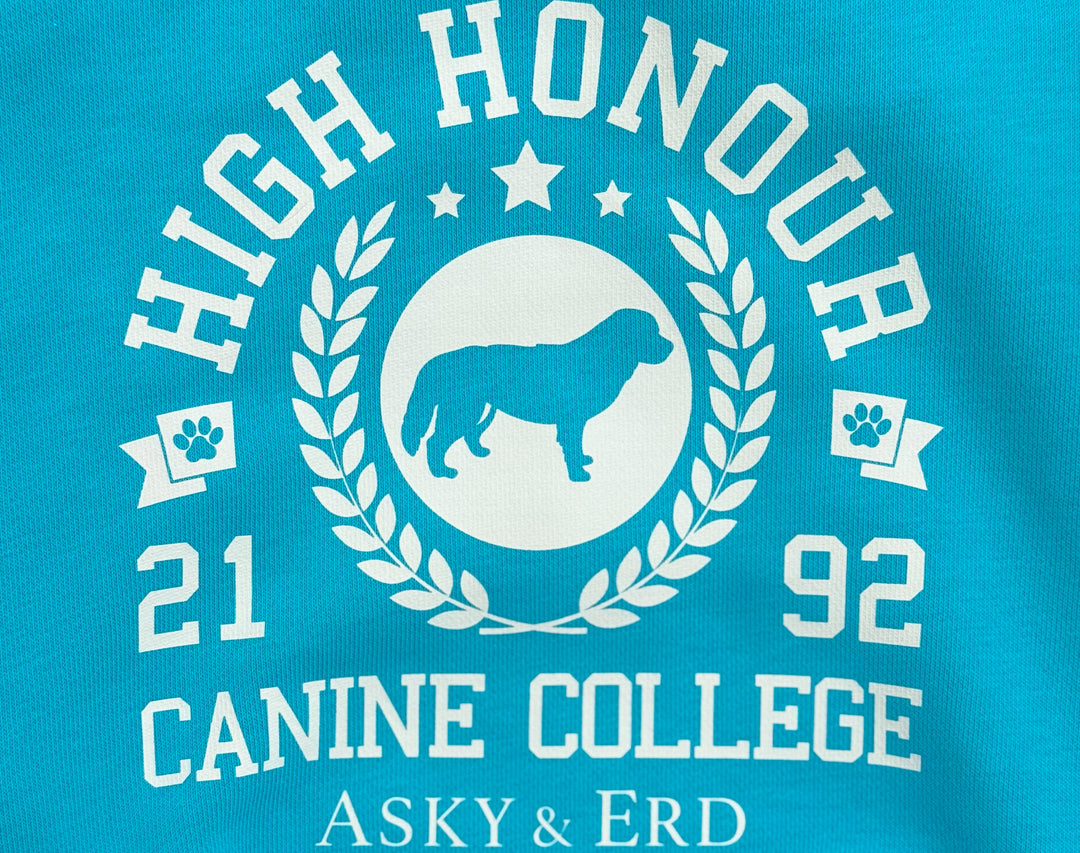 Canine College High Honour Sweatshirt | Turquoise Sprint