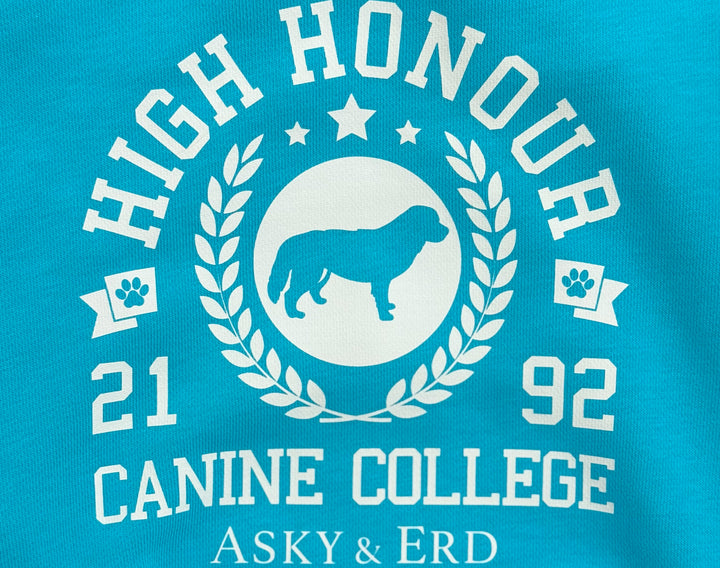 Canine College High Honour Sweatshirt | Turquoise Sprint