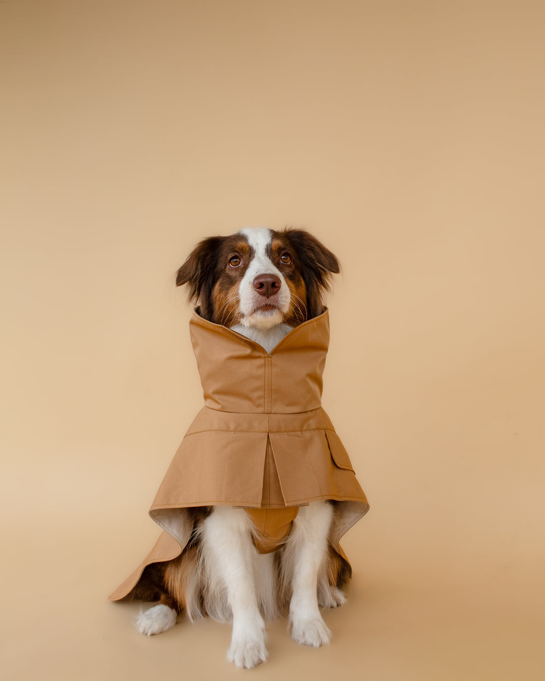 Trenchcoat | Signature Beige