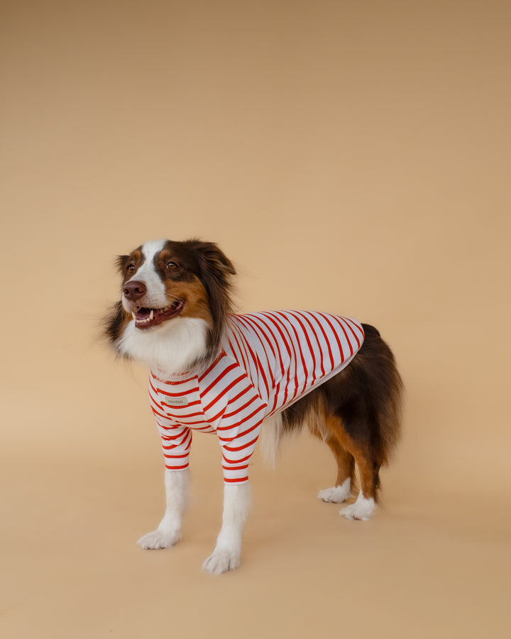 Turtleneck Tshirt | Tangerine Stripe