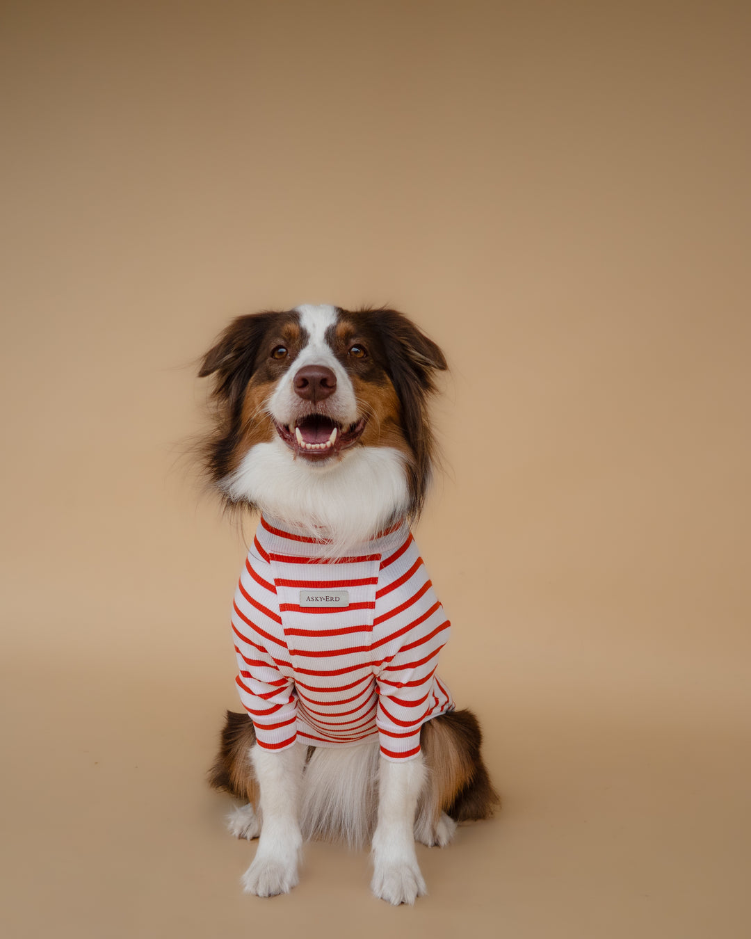 Turtleneck Tshirt | Tangerine Stripe