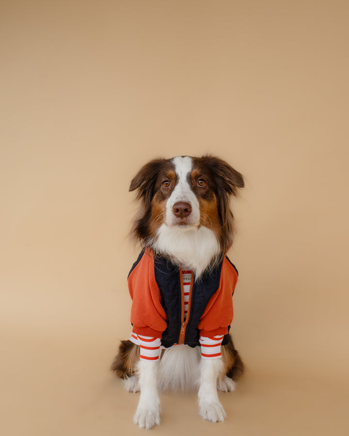 Turtleneck Tshirt | Tangerine Stripe