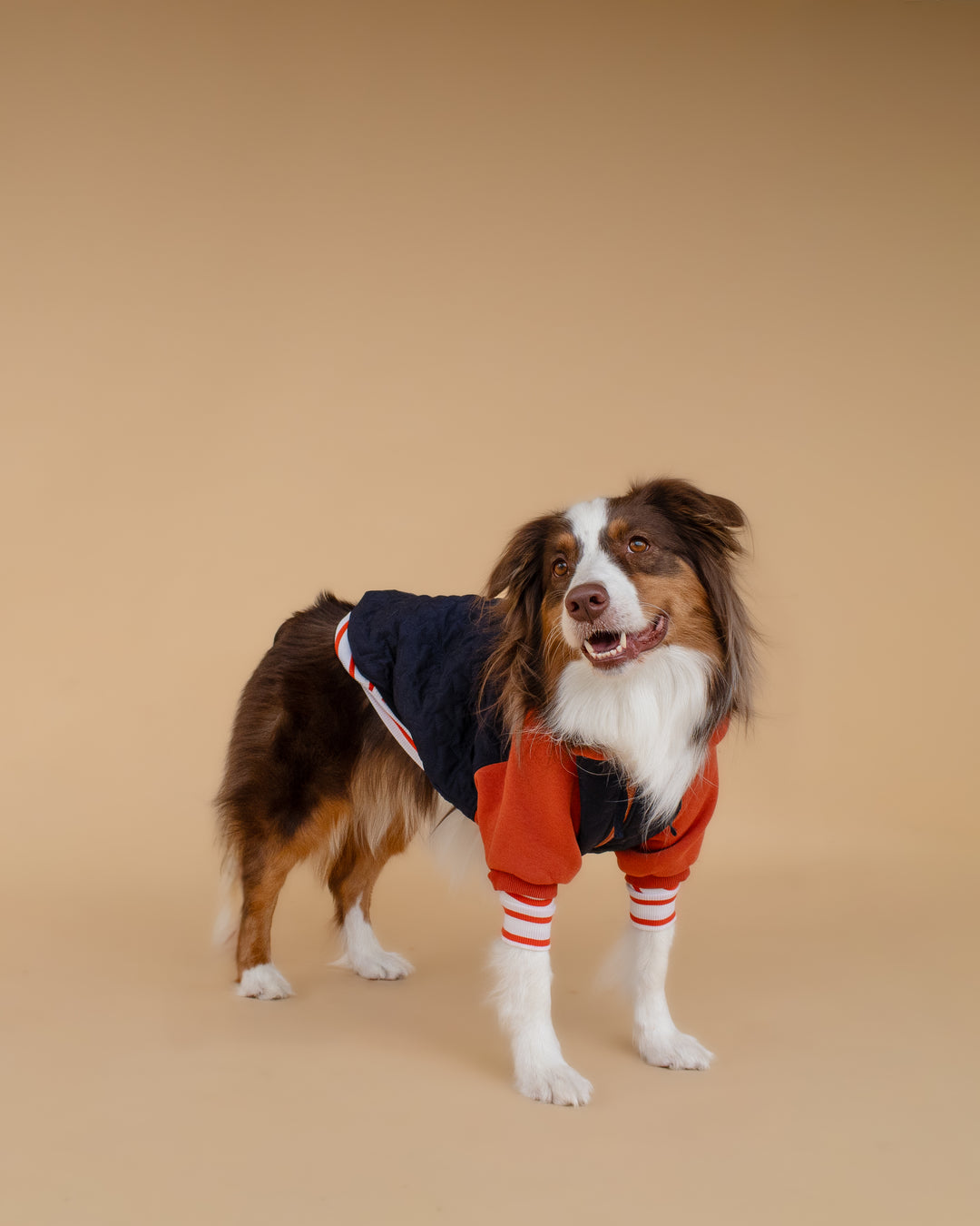 Turtleneck Tshirt | Tangerine Stripe