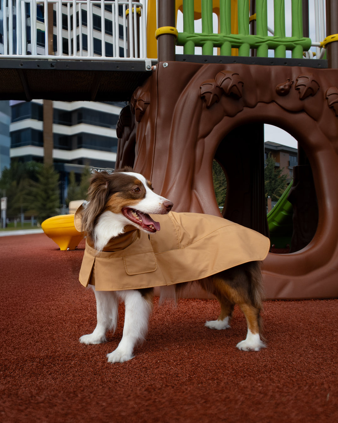 Trenchcoat | Signature Beige