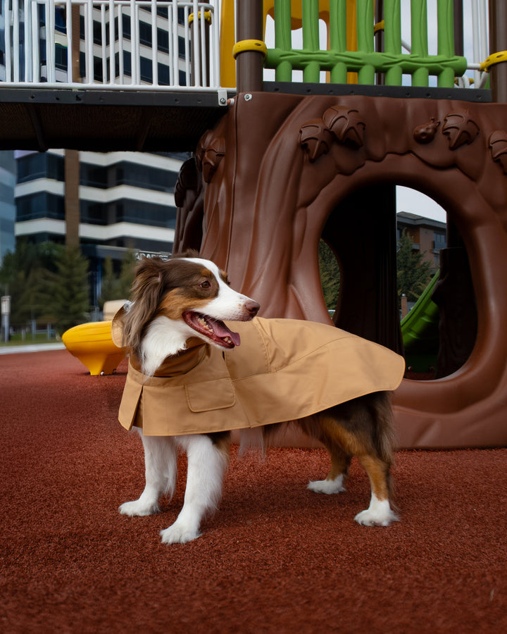 Trenchcoat | Signature Beige