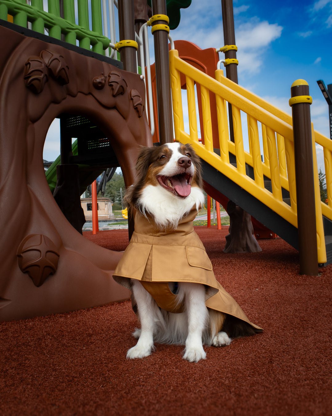 Trenchcoat | Signature Beige