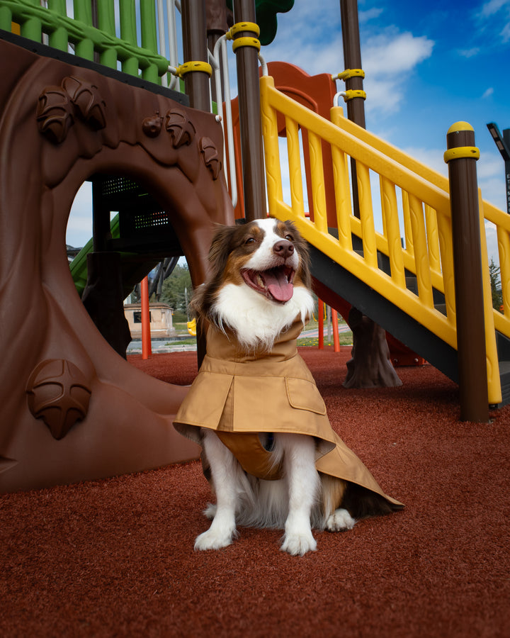 Trenchcoat | Signature Beige