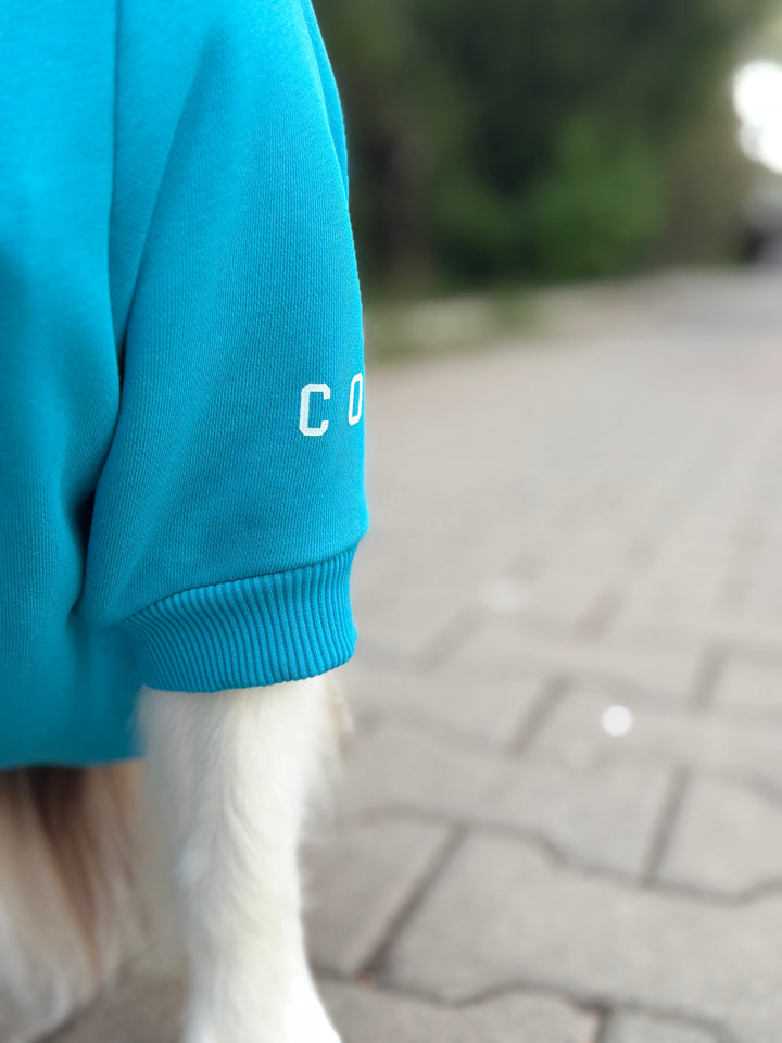 Canine College High Honour Sweatshirt | Turquoise Sprint