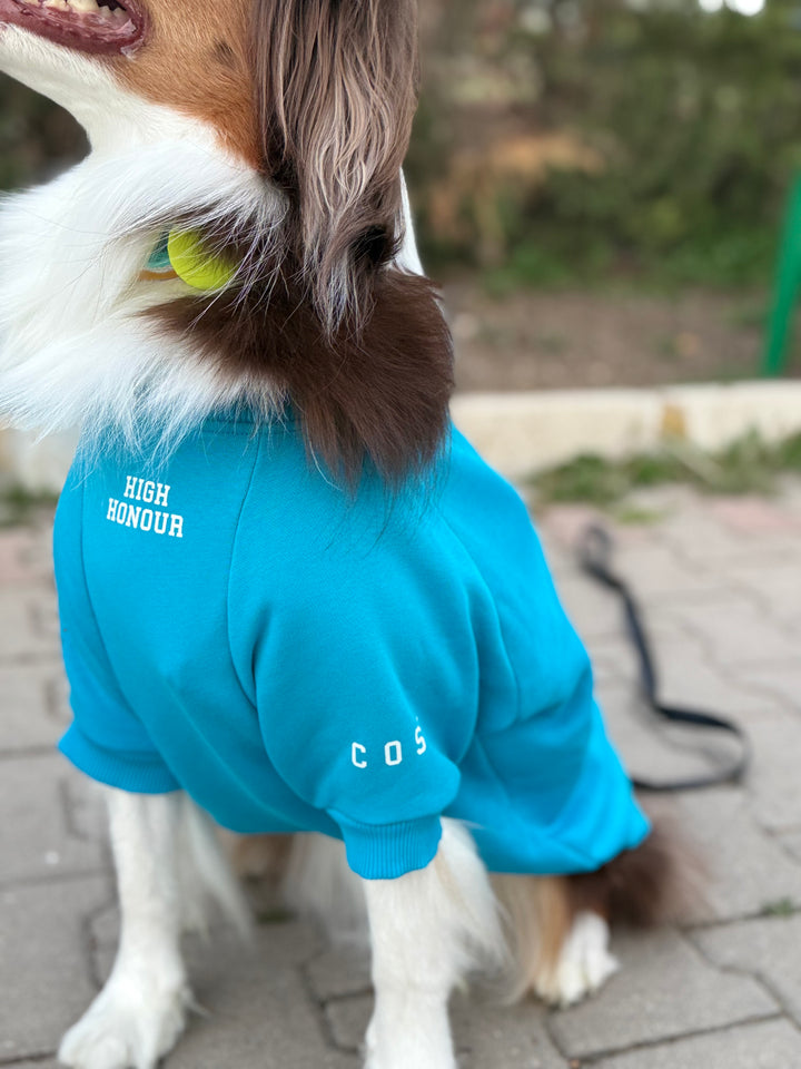 Canine College High Honour Sweatshirt | Turquoise Sprint