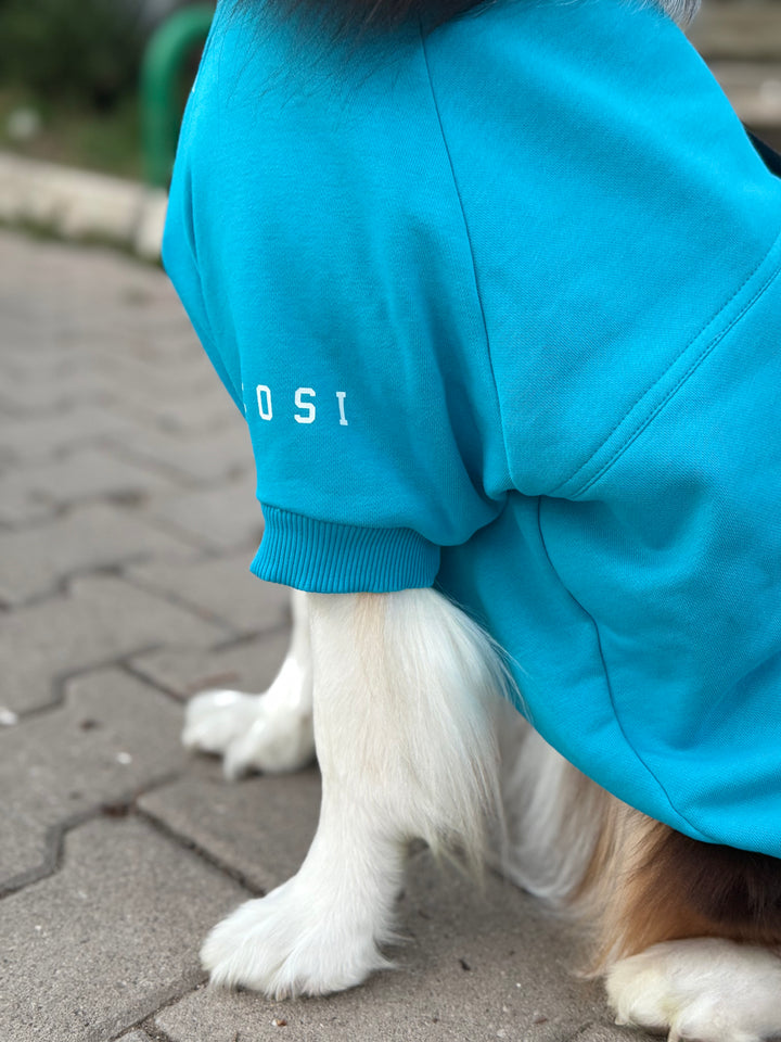 Canine College High Honour Sweatshirt | Turquoise Sprint