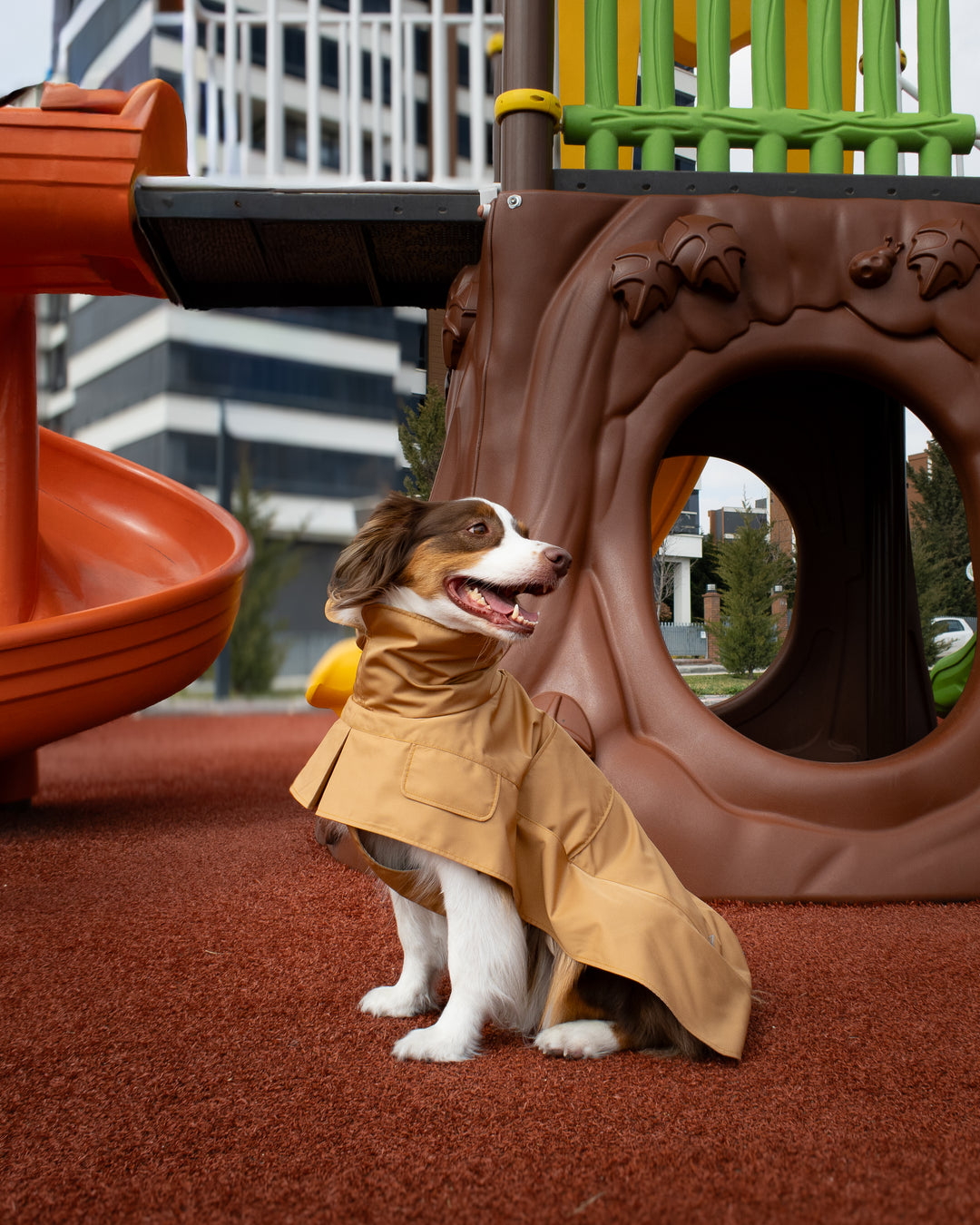 Trenchcoat | Signature Beige