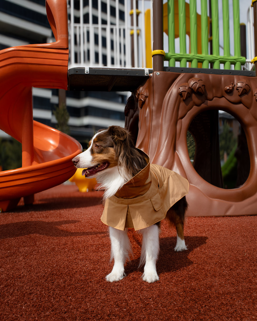 Trenchcoat | Signature Beige