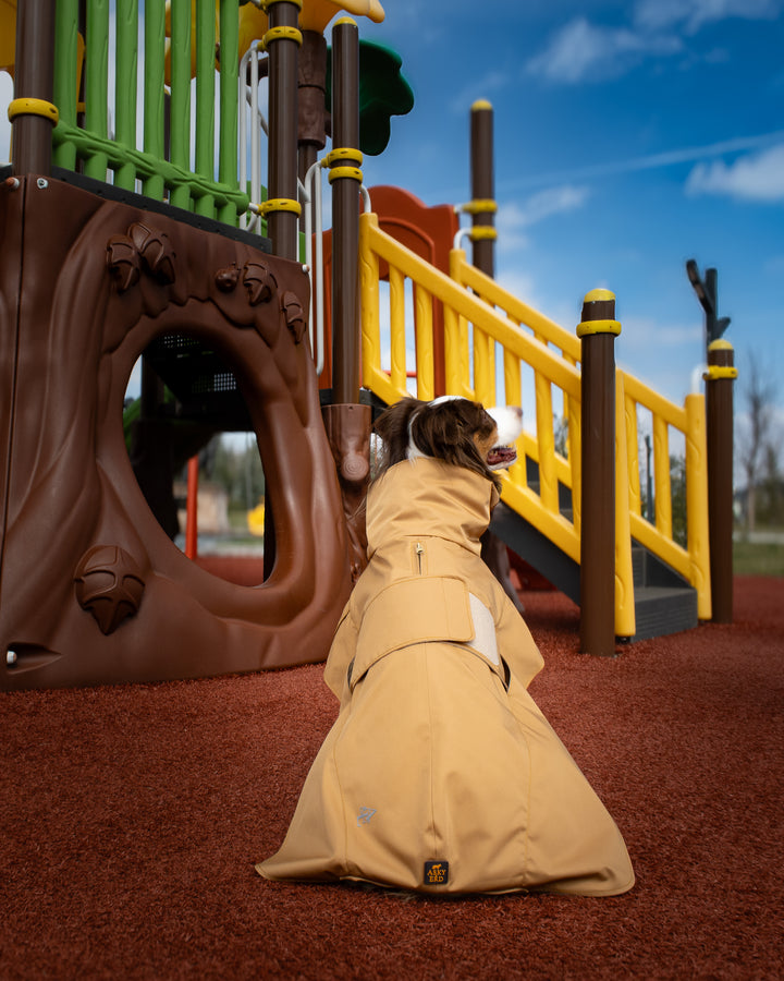 Trenchcoat | Signature Beige