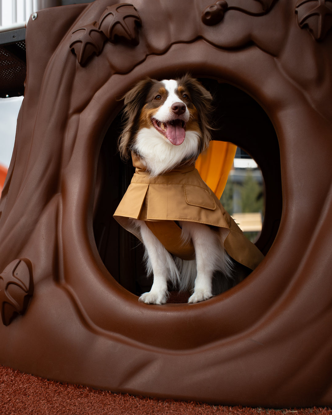 Trenchcoat | Signature Beige