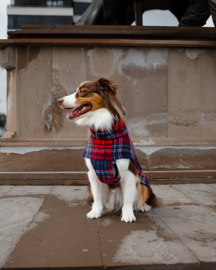 Chicago Vest | Crimson Tartan Plaid