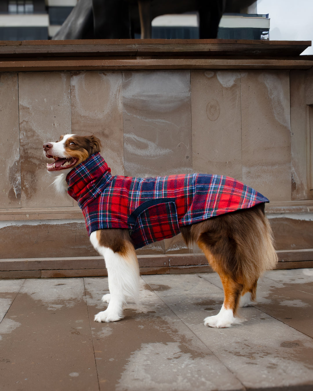 Chicago Vest | Crimson Tartan Plaid