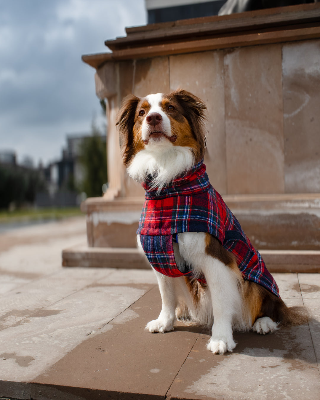 Chicago Vest | Crimson Tartan Plaid